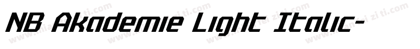 NB Akademie Light Italic字体转换